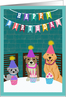 Birthday Dogs Sitting at Table Celebrating card