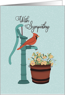 With Sympathy Water Pump Cardinal card