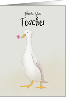 Thank You Teacher Duck Holding a Flower card