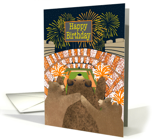 Birthday Three Bears Cheering at Football Stadium card (1927370)
