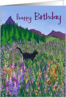 Birthday Black Cat and Wildflowers card