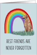 Sympathy Loss of Dog card