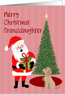 Christmas for Granddaughter Santa card