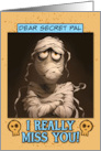 Secret Pal Miss You Sad Mummy card