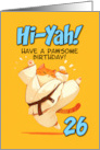 26 Years Old Happy Birthday Cartoon Karate Kick Ginger Cat card