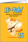 15 Years Old Happy Birthday Cartoon Karate Kick Ginger Cat card
