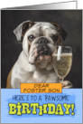 Foster Son Happy Birthday English Bulldog Champagne Toast card