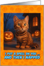 Toyger Cat Halloween with Carved Pumpkins card