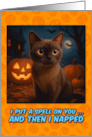 Burmese Cat Halloween with Carved Pumpkins card