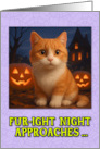 Ginger and White Cat Halloween with Carved Pumpkins card