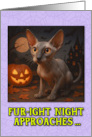 Peterbald Cat Halloween with Carved Pumpkins card