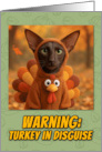 Oriental Longhair Cat in Turkey Suit Thanksgiving Autumn Forrest card