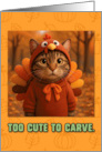 Tabby Cat in Turkey Suit Thanksgiving Autumn Forrest card