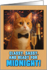Ginger and White Cat with Bow Tie and Champagne New Year Fireworks card