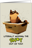 Miss You Cat on Litter Box Alternative Version card