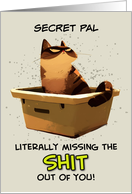 Secret Pal Miss You Cat on Litter Box card