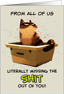 From Group Miss You Cat on Litter Box card