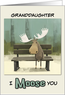 Granddaughter Miss You Moose on Park Bench card