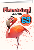 69 Years Old Happy Birthday Flamingo card