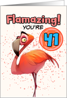 41 Years Old Happy Birthday Flamingo card