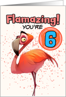 6 Years Old Happy Birthday Flamingo card