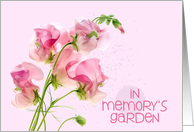 Baby Birthday Remembrance Sweetpeas Memory’s Garden card