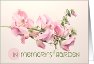 Baby Birthday Remembrance Sweetpeas Memory’s Garden card