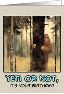 Happy Birthday Bigfoot in the Woods card