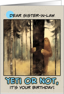 Sister in Law Happy Birthday Bigfoot in the Woods card