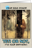 Egg Donor Happy Birthday Bigfoot in the Woods card