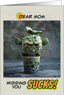 Mom Missing You Sad Succulent in Pot card