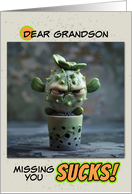 Grandson Missing You Sad Succulent in Pot card