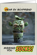 Ex Boyfriend Missing You Sad Succulent in Pot card