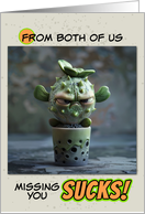 From Couple Missing You Sad Succulent in Pot card