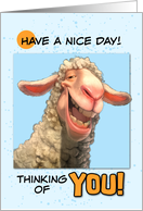 have a Nice Day Thinking of You Smiling Sheep card