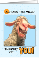 Across the Miles Thinking of You Smiling Sheep card