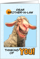 Brother in Law Thinking of You Smiling Sheep card
