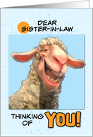 Sister in Law Thinking of You Smiling Sheep card