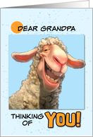 Grandpa Thinking of You Smiling Sheep card