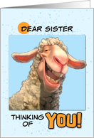 Sister Thinking of You Smiling Sheep card