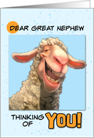 Great Nephew Thinking of You Smiling Sheep card