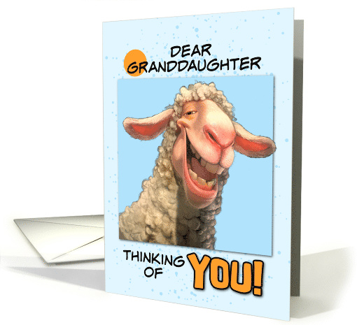 Granddaughter Thinking of You Smiling Sheep card (1864102)