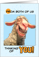 From Couple Thinking of You Smiling Sheep card