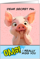 Secret Pal Missing You OMG Piglet card