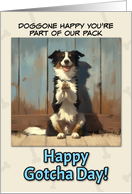 Gotcha Day Adoption Anniversary Happy Dog card