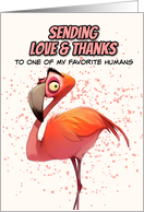 Thank You LGBTQIA Pink Flamingo card