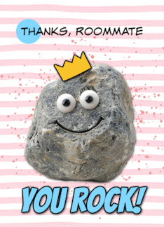 Roommate Thank You Rock Wearing a Crown