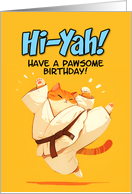 Happy Birthday Cartoon Karate Kick Ginger Cat card