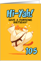 105 Years Old Happy Birthday Cartoon Karate Kick Ginger Cat card