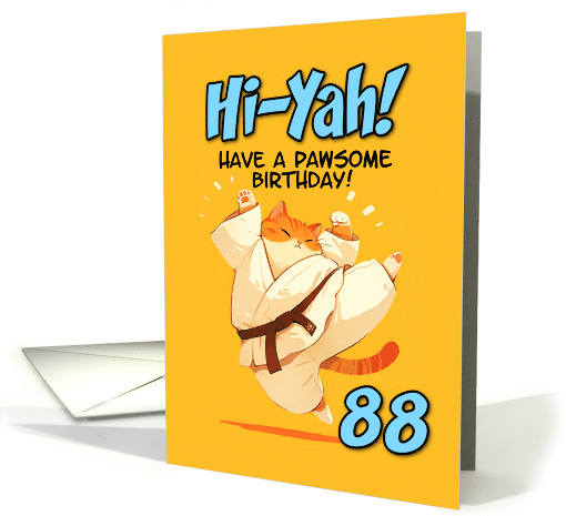 88 Years Old Happy Birthday Cartoon Karate Kick Ginger Cat card